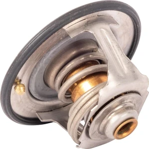 Termostat OEM
