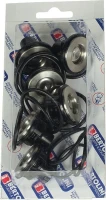 Zestaw zaworów Bertolini | poltechparts.pl