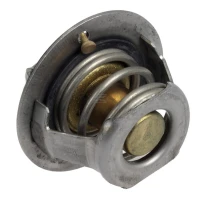 Termostat - Sklep PoltechParts