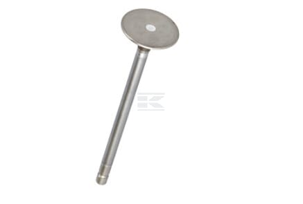 Exhaust valve