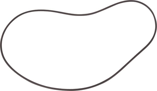 O-ring, CNH OEM