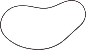O-ring, CNH OEM