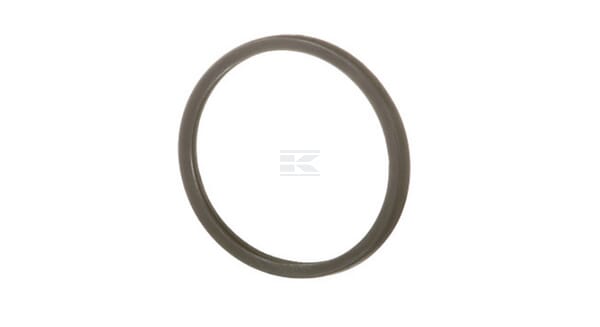 Thermostat gasket 