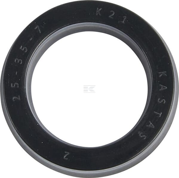 Oil seal