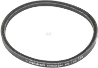 Pasek klinowy | poltechparts.pl