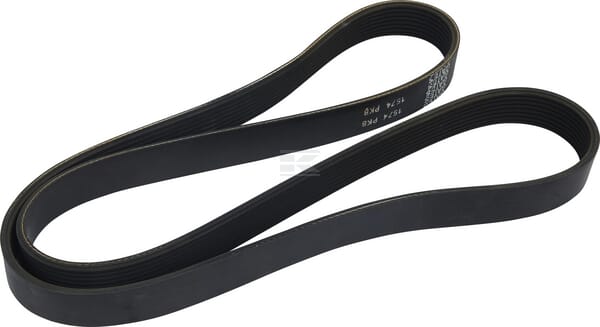 Alternator belt