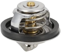 Termostat | poltechparts.pl