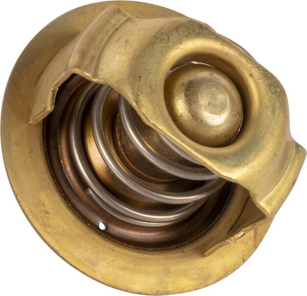 Termostat OEM