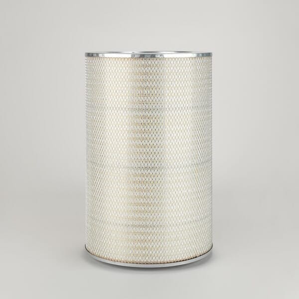 Filtr powietrza wstępny