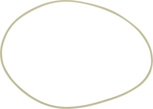 Pierścień uszczelniający o-ring