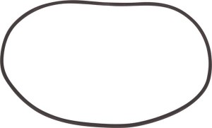 Pierścień uszczelniający o-ring