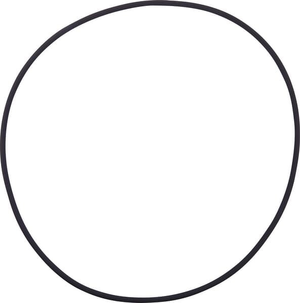 O-ring