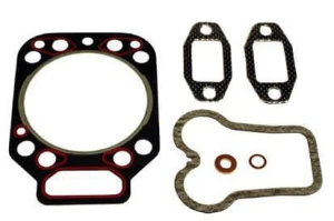 Zestaw uszczelek głowicy