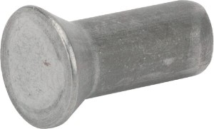 Rivet