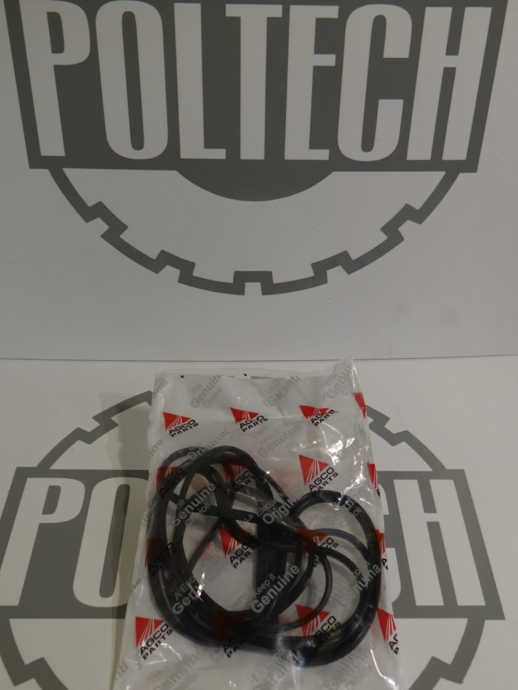 Pierścień uszczelniający 4306809M1