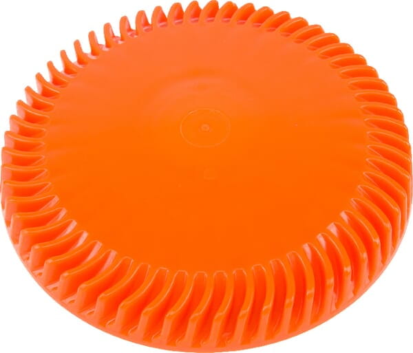 Tarcza