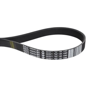 Pasek klinowy wielorowkowy  6 PK x 1365 Lp 4286263M1