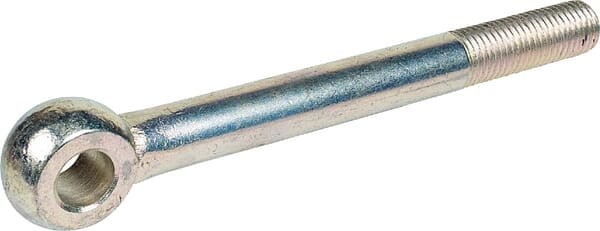 Śruba oczkowa BM20x200-8.8 D2