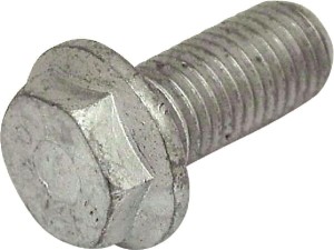 Śruba