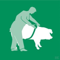 Miarka zoometryczna VV2191 | poltechparts.pl