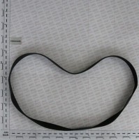 Pasek V1287 GASPARDO F06010160R | poltechparts.pl