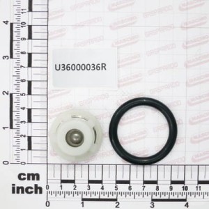 Zaworek pompy 2008 Gaspardo U36000036R